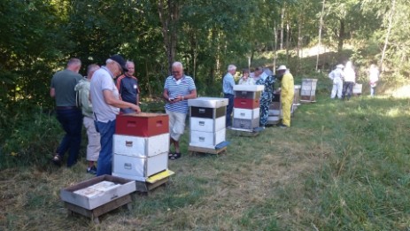 Varje grupp tilldelades en bikupa