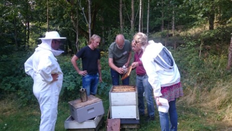 Lennart Lilja i grön tröja assisterar vår grupp samtidigt som han passar på att samla bin till Varroa-testet.